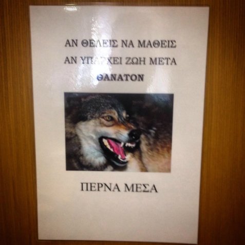 image image
