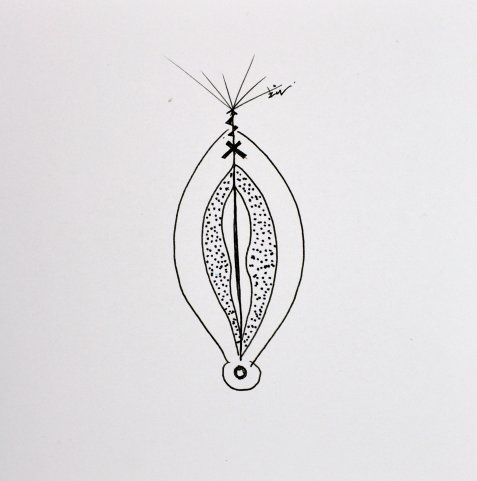 ©Γιώργος Τζινούδης  