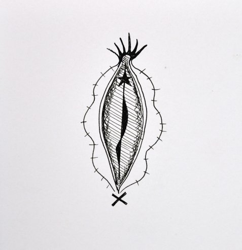 ©Γιώργος Τζινούδης  