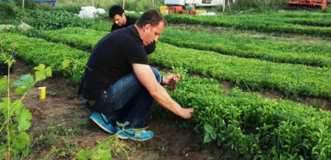 naoumidis, AV naoumidis, AV