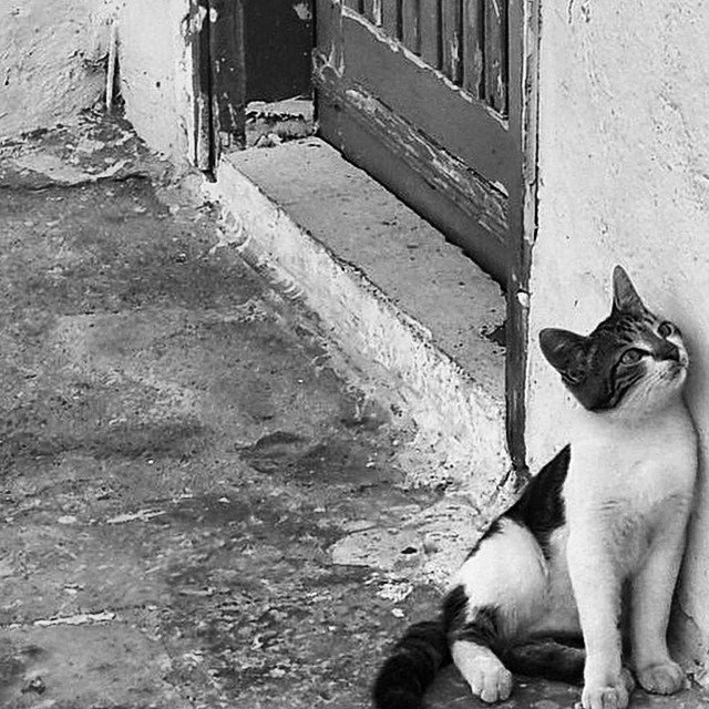 marin @marini_marini