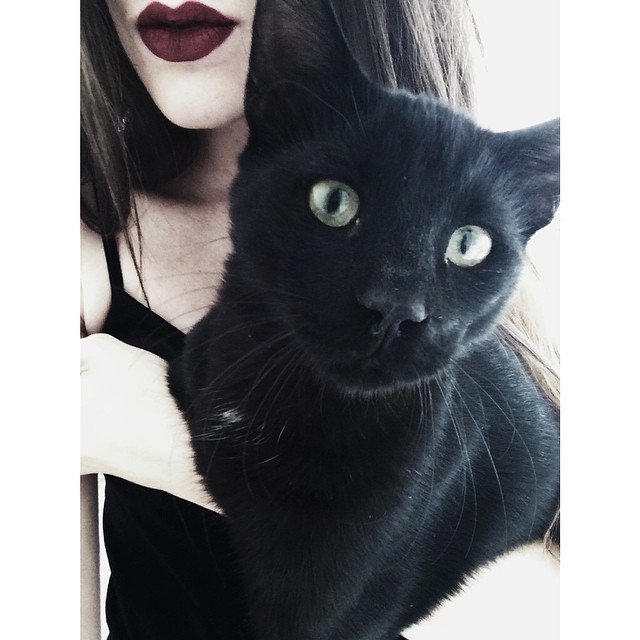 rokabilion @rokabilion