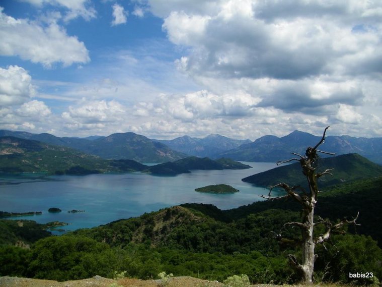 athens voice readers, greece