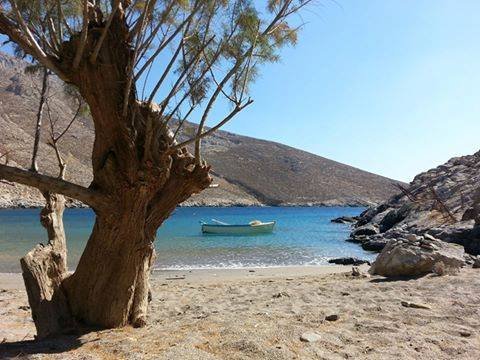 athens voice readers, greece