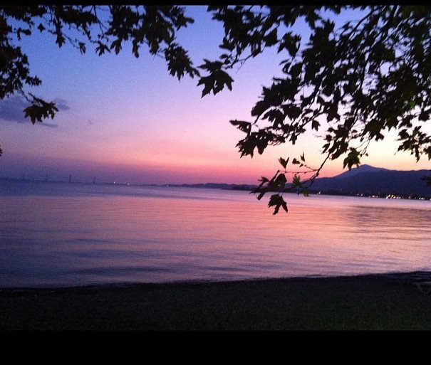 athens voice readers, greece