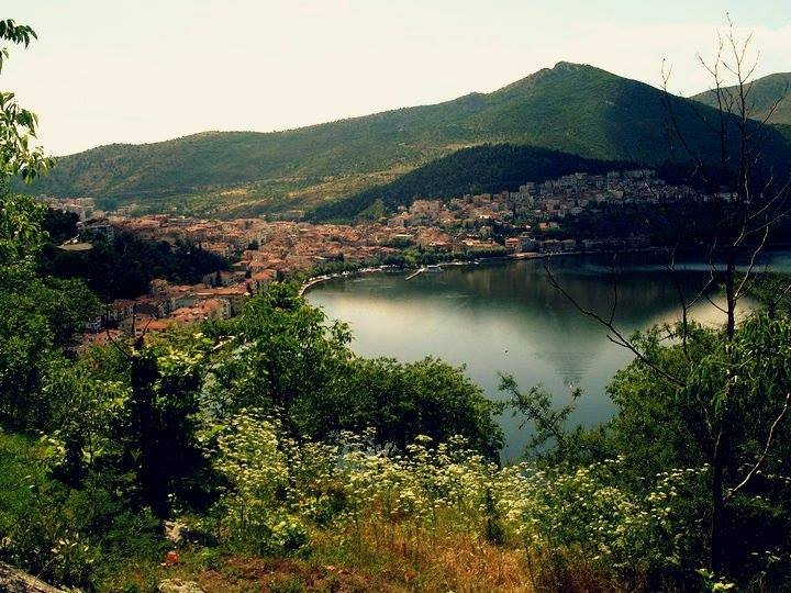 athens voice readers, greece