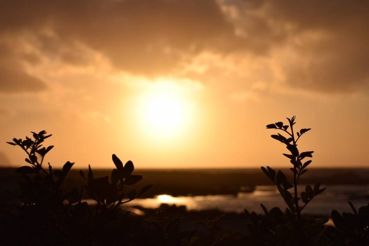 athens voice readers, greece