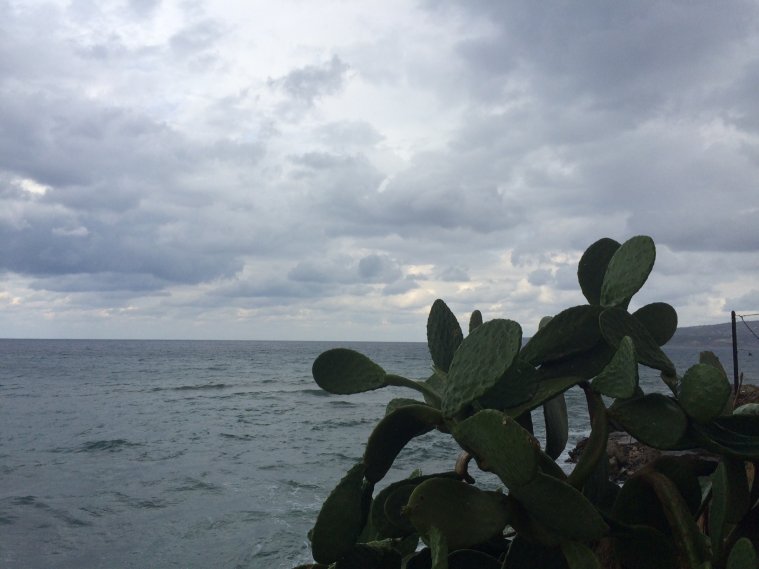 greece, athens voice