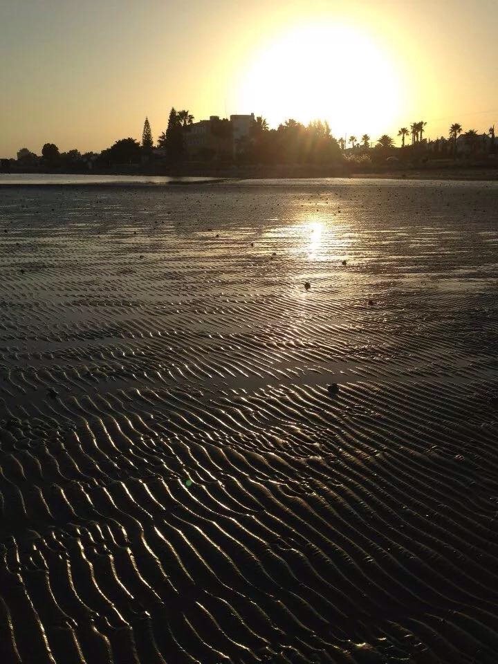 greece, athens voice