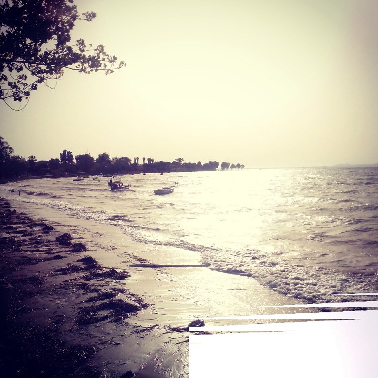 greece, athens voice greece, athens voice