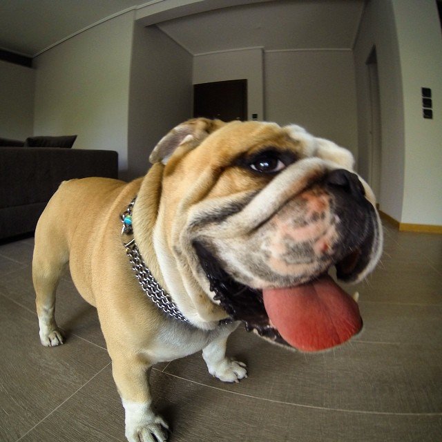 Philippos Tr @philippostr