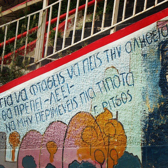 stella_rosa @stella_rosa