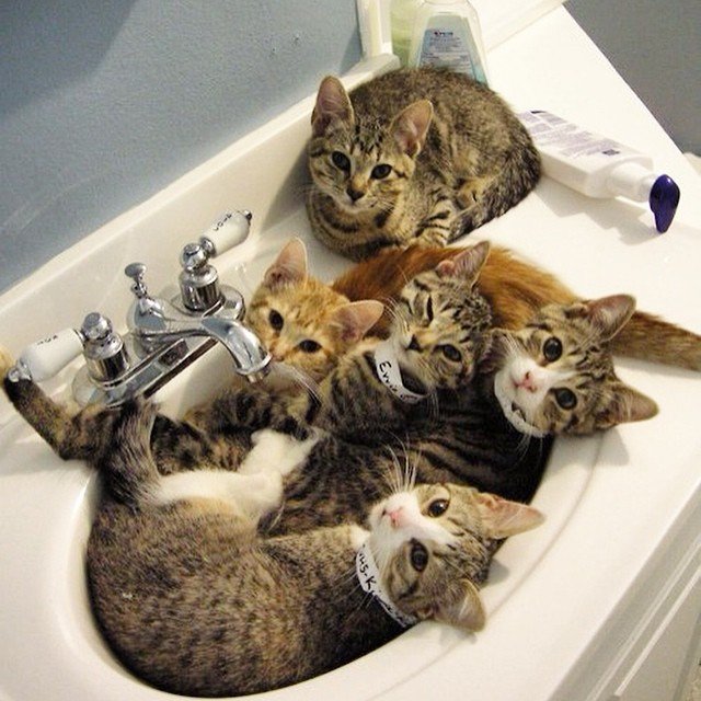 Maria Queen @mariaqueen_ 