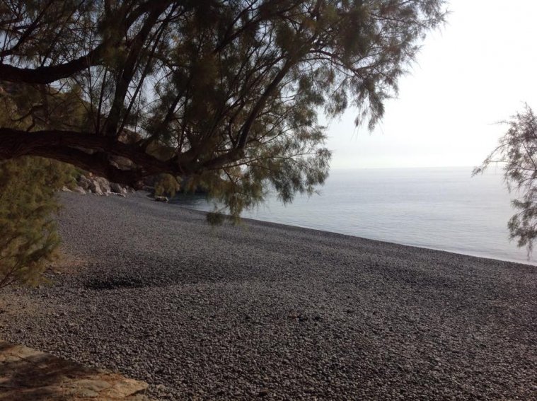 greece, athens voice