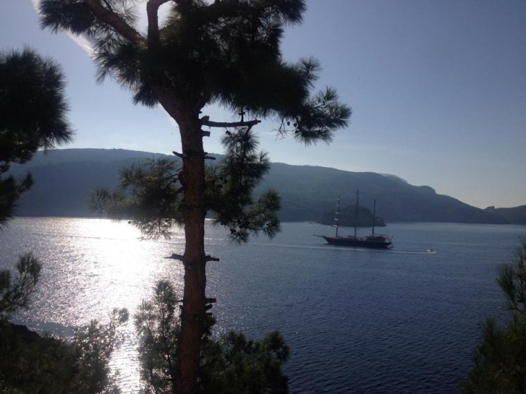 greece, athens voice