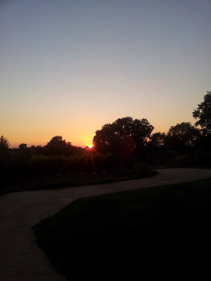 greece, athens voice