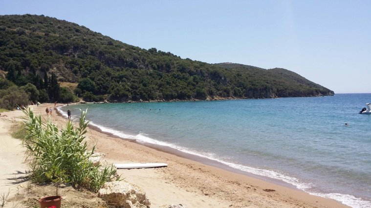 greece, athens voice