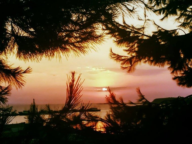 greece, athens voice