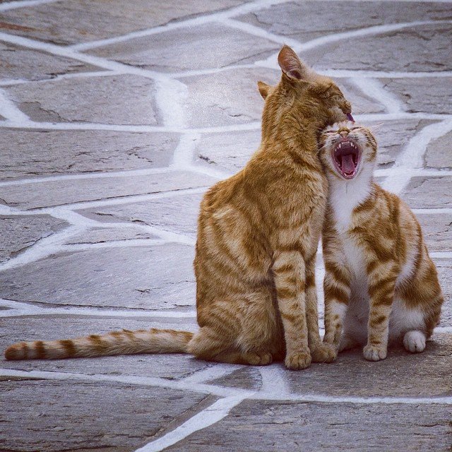 Vaggelis Fragkakis @vagfrag