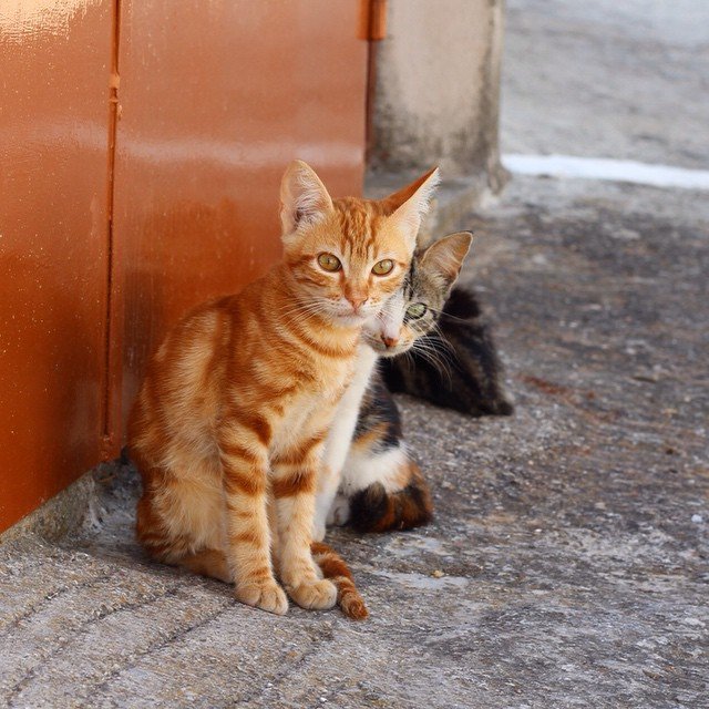 athina papaioannou @athinap7 