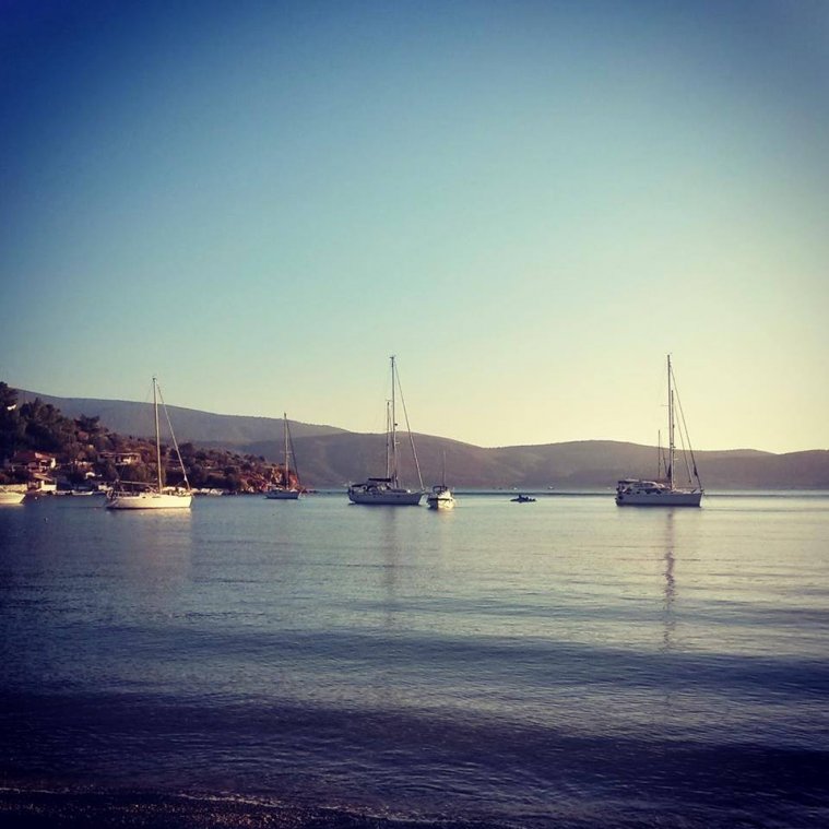 athens voice readers, greece