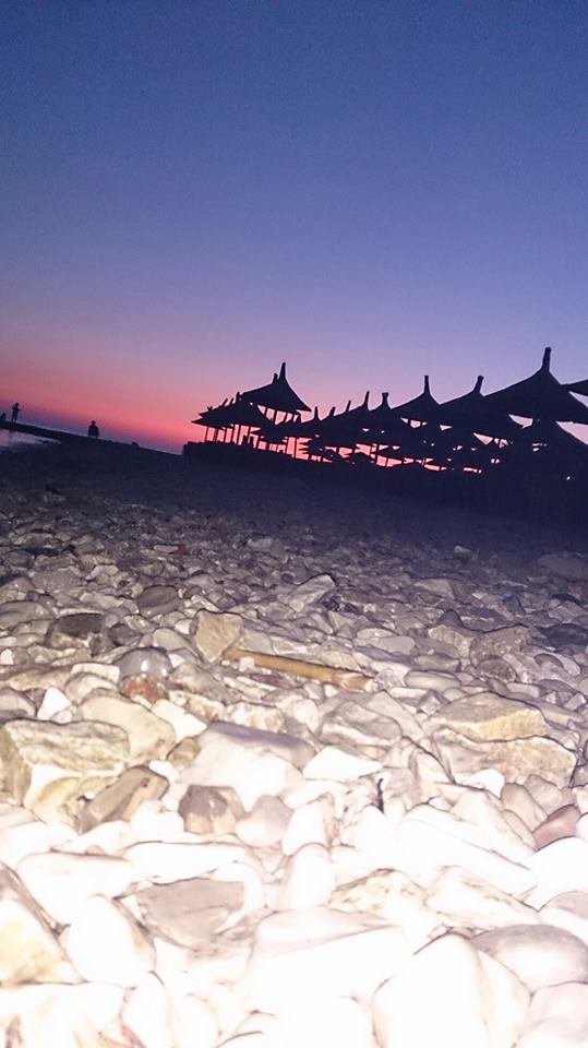 athens voice readers, greece