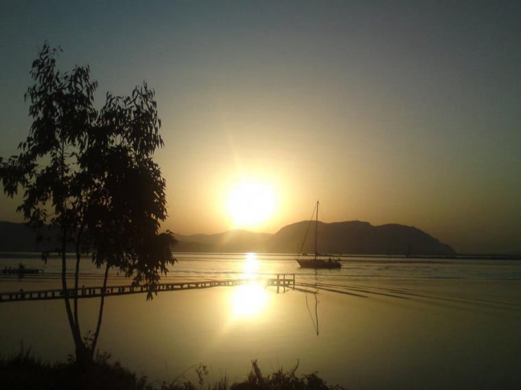 athens voice readers, greece