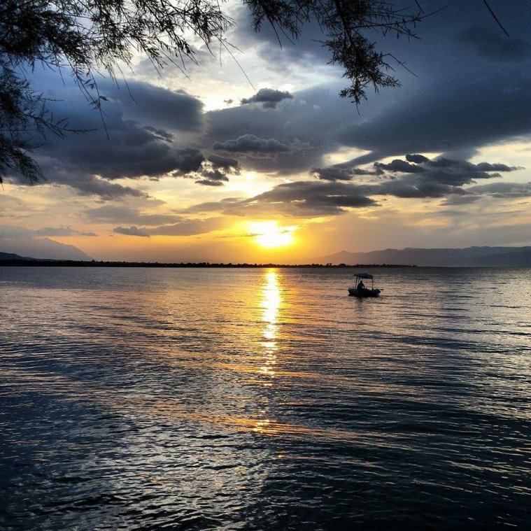 athens voice readers, greece