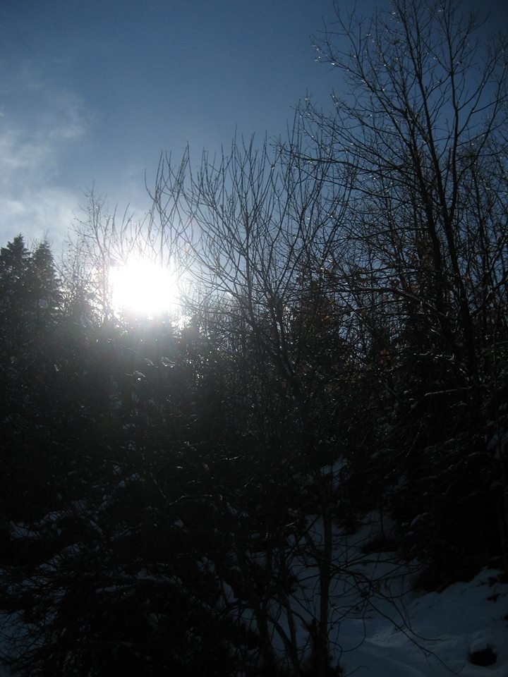 athens voice readers, greece