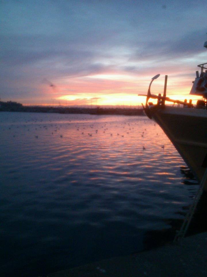 athens voice readers, greece athens voice readers, greece