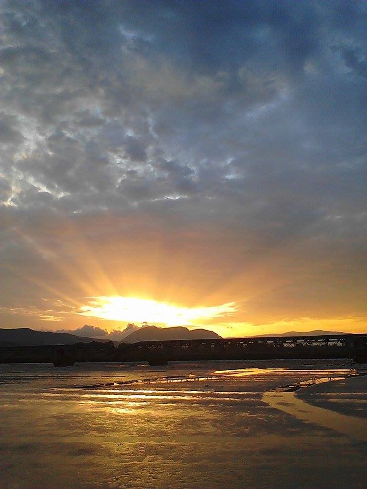 athens voice readers, greece athens voice readers, greece