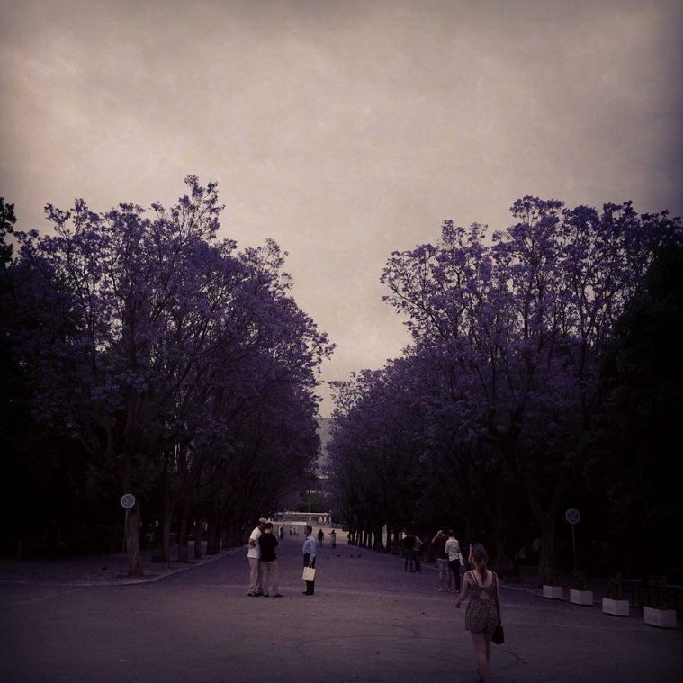 athens voice readers, greece athens voice readers, greece