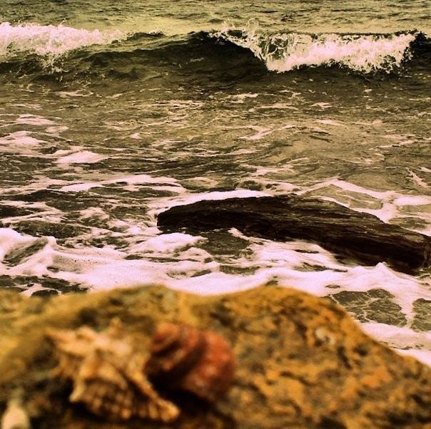 athens voice readers, greece athens voice readers, greece