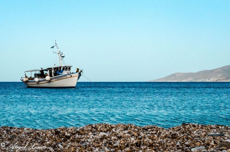 athens voice readers, greece athens voice readers, greece