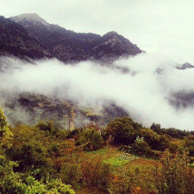 athens voice readers, greece athens voice readers, greece