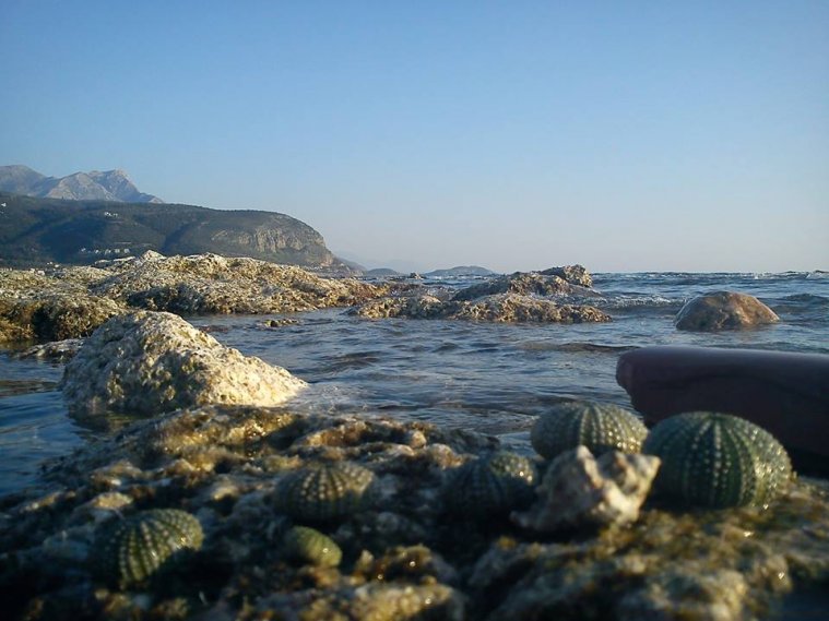 athens voice readers, greece athens voice readers, greece