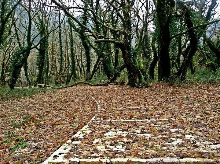 athens voice readers, greece athens voice readers, greece