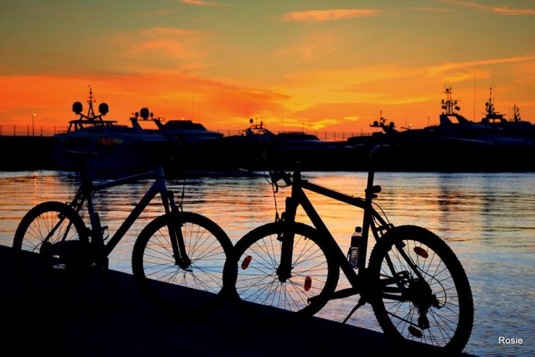 athens voice readers, greece athens voice readers, greece