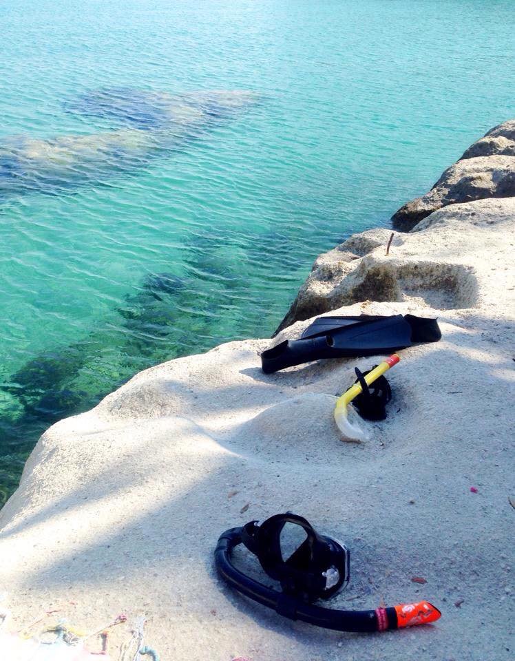 athens voice readers, greece athens voice readers, greece