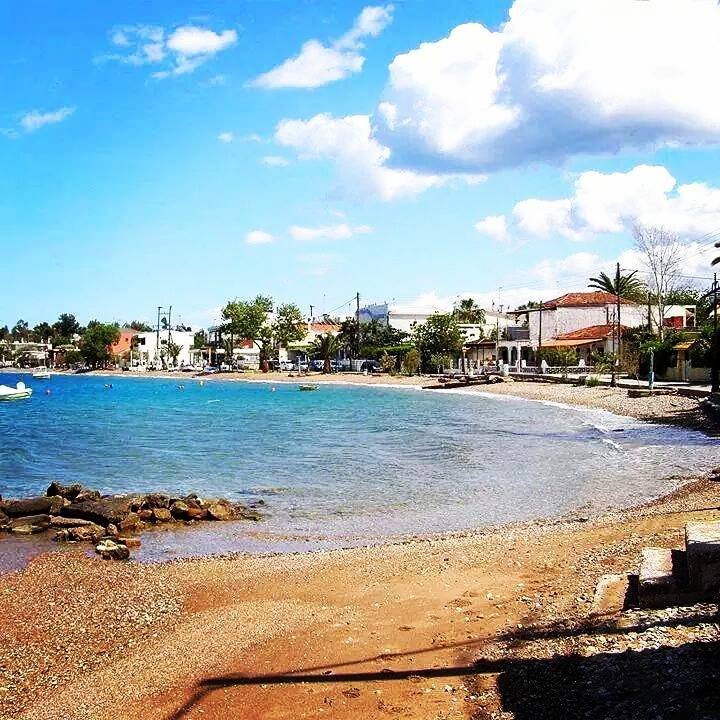 athens voice readers, greece athens voice readers, greece