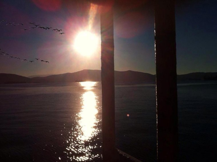 athens voice readers, greece athens voice readers, greece