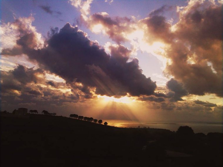 athens voice readers, greece athens voice readers, greece