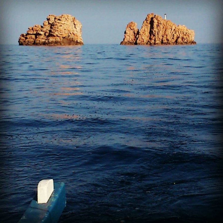 athens voice readers, greece athens voice readers, greece