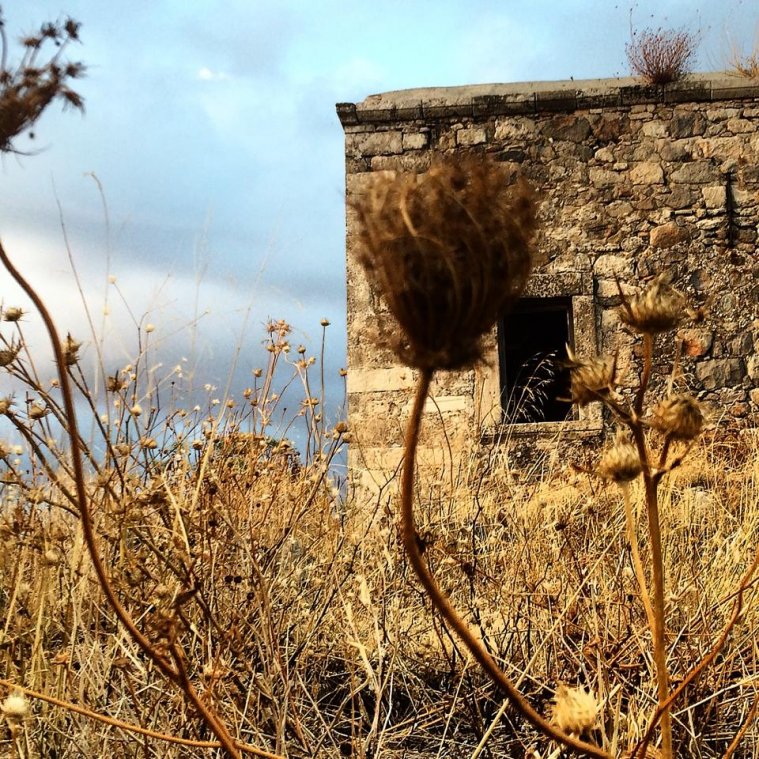 athens voice readers, greece athens voice readers, greece