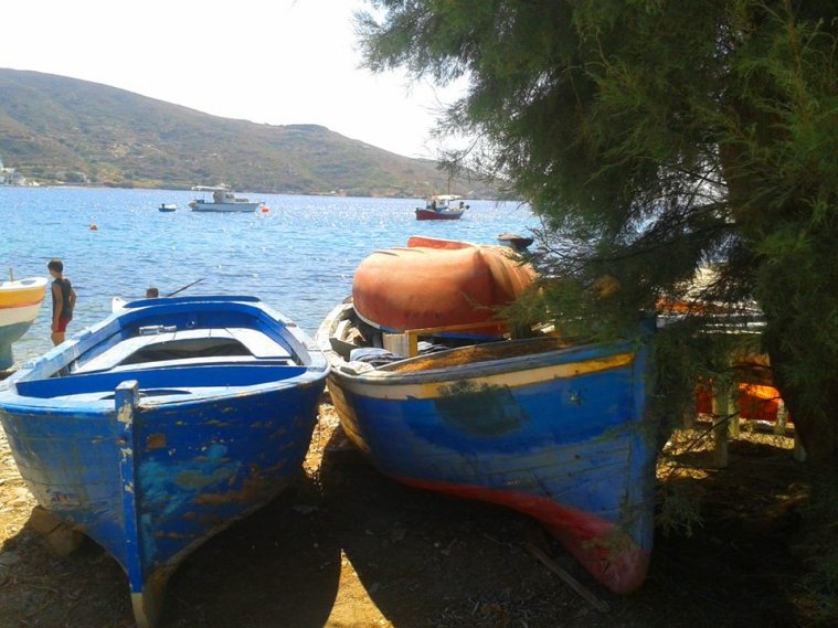 athens voice readers, greece athens voice readers, greece