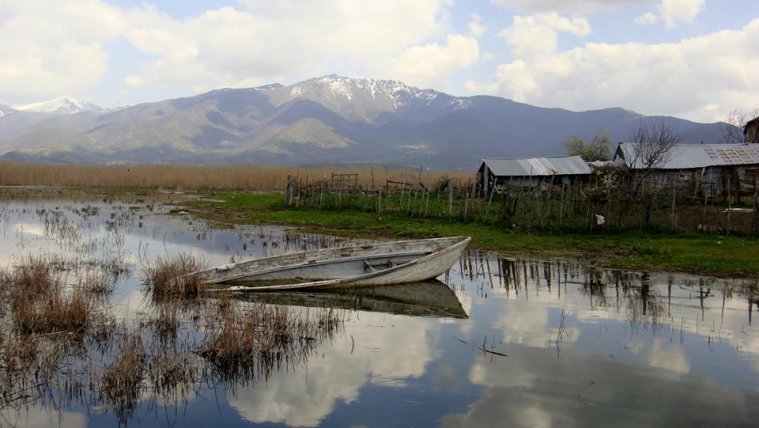 athens voice readers, greece athens voice readers, greece