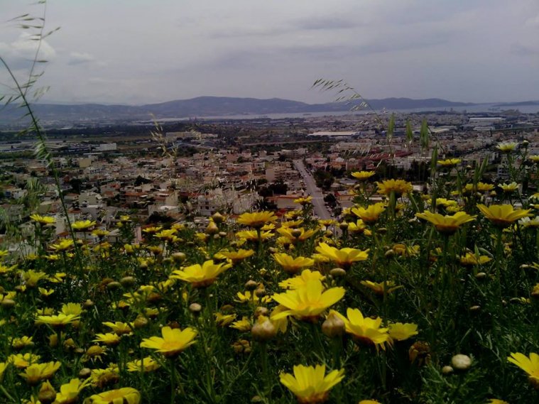 athens voice readers, greece athens voice readers, greece