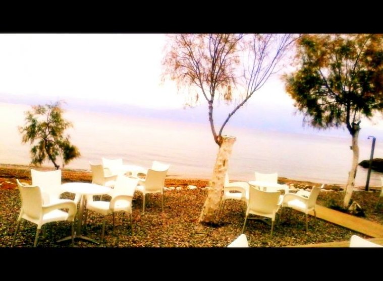 athens voice readers, greece athens voice readers, greece