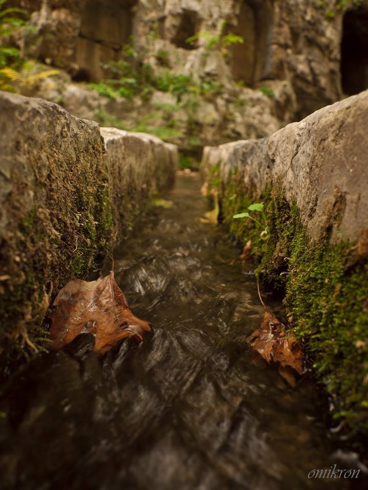 athens voice readers, greece