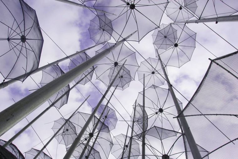 athens voice readers, greece